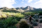 McDowell Sonoran Preserve