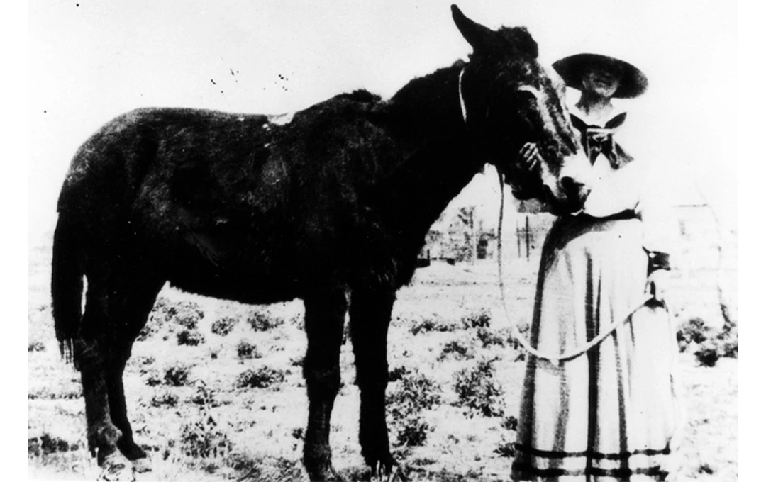 Picture of the Old School House as it is today.