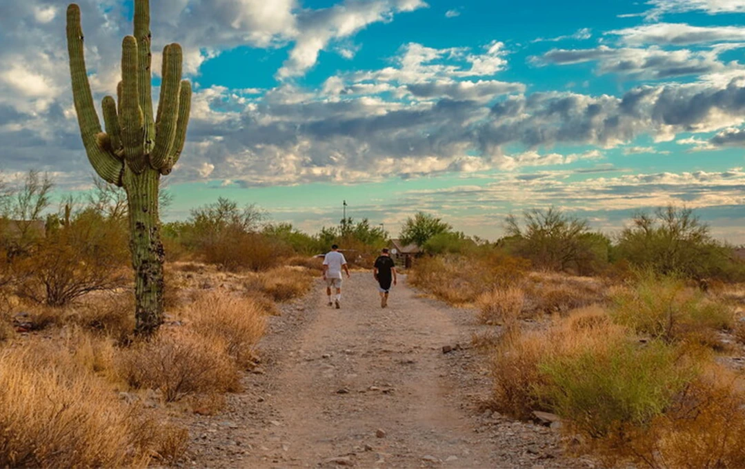 Hikers walking a trail in the McDowell Mountain Preserve