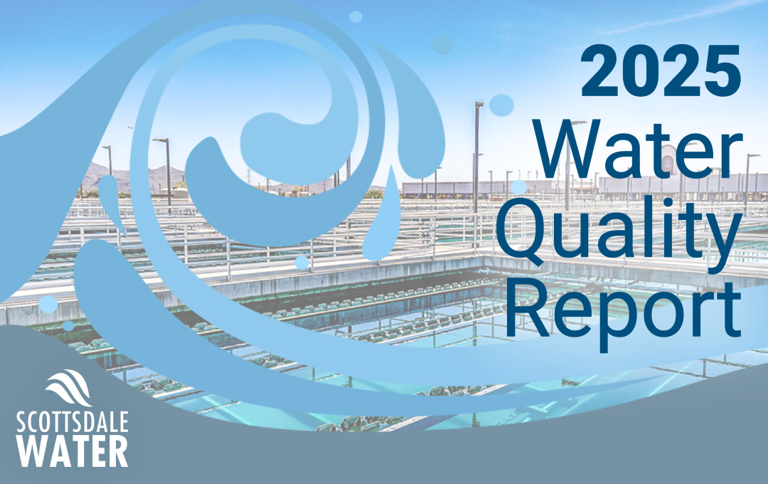 2024 Water Quality Report Cover