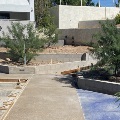 View of Marshall Garden under construction with partially built pathways and young trees.