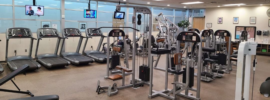 Various types of gym equipment