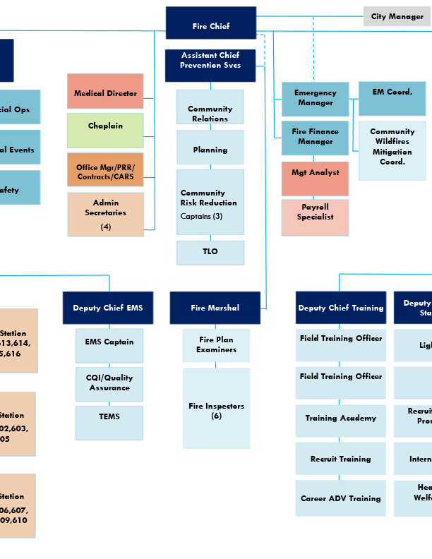 Image of Organization Chart