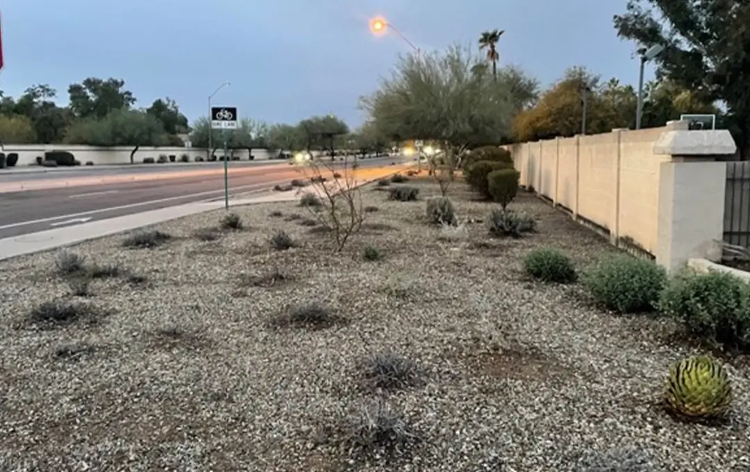 Revitalized a neighborhood's entrance with trees, shrubs, and decomposed granite - restoring a prominent area where landscaping had deteriorated.