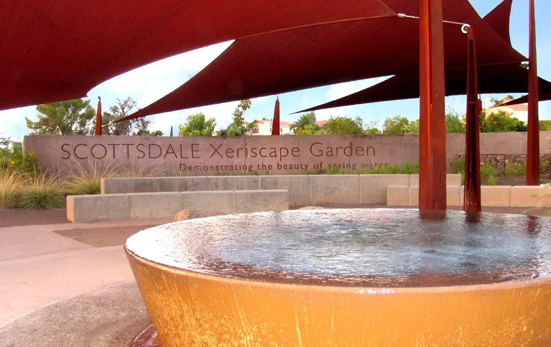 Image of Scottsdale Xeriscape Garden at Chaparral Park
