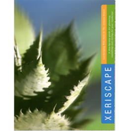 Image of Xeriscape: Landscaping with Style in the Arizona Desert